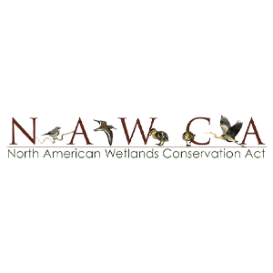 NAWCA