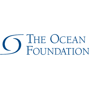 The Ocean Foundation